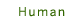 Human